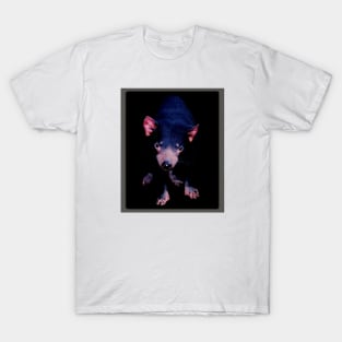 Tasmanian Devil T-Shirt